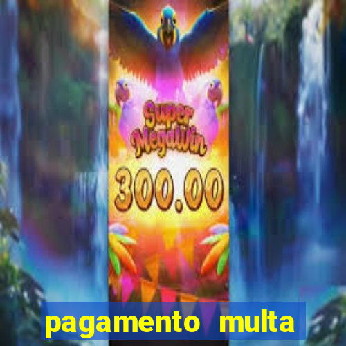 pagamento multa detran mg